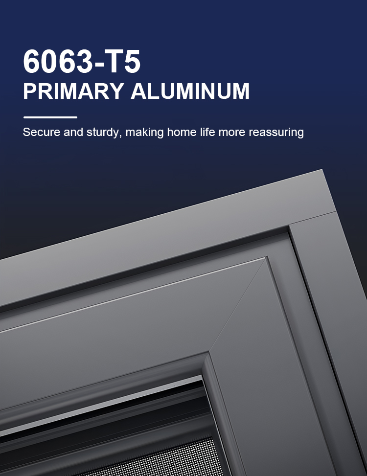 Aluminium Pivothængt Dør Detalje 5